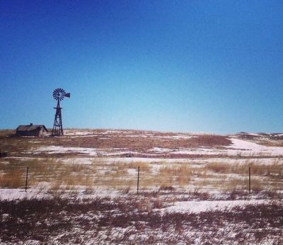 There's something terrifically consolatory about being alone in a wide-open space with nothing but blue skies, a windmill and a cow or two to keep you company.