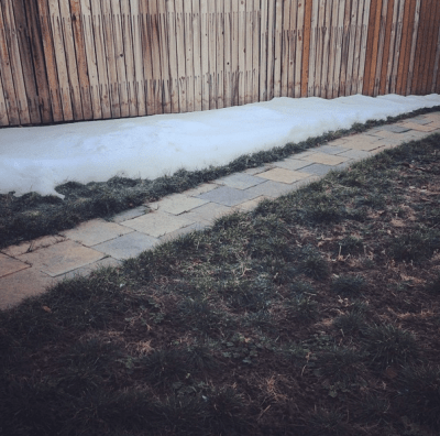 The north side of my yard is ready for spring and the south is holding on tight to winter. I'm with the north.