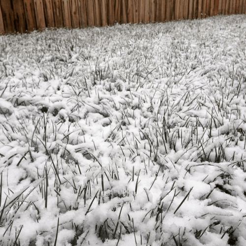 You've got it all wrong, Mother Nature. It's April SHOWERS, as in RAIN.