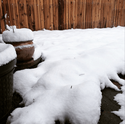 Just a few days prior, I was mowing this same lawn in shorts and a tank top.