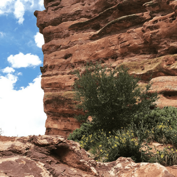 Screenshot 2015-07-12 10.38.11