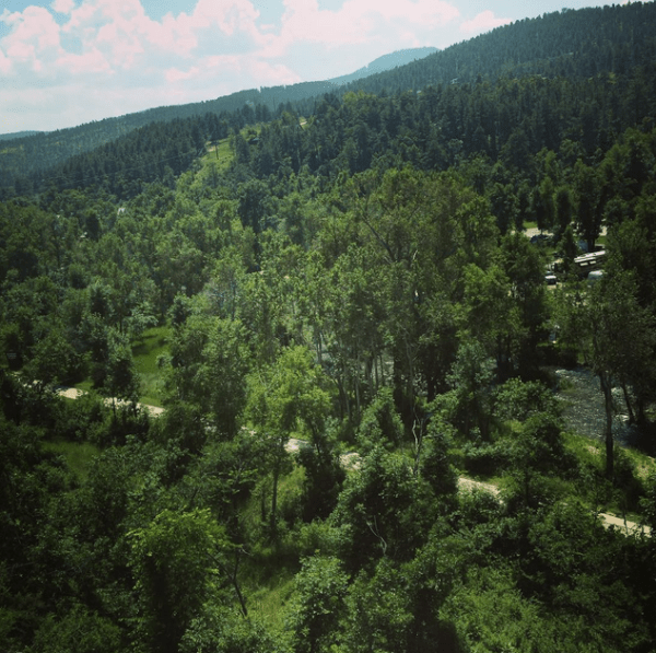 Screenshot 2015-07-12 10.39.43