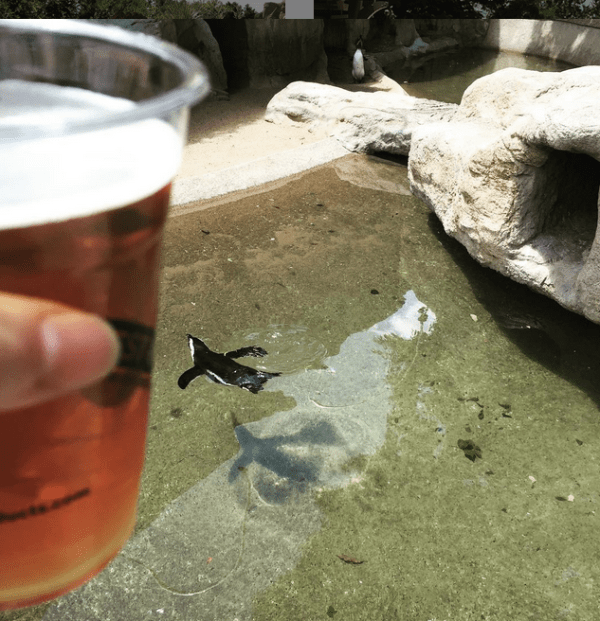 Screenshot 2015-07-25 10.50.48