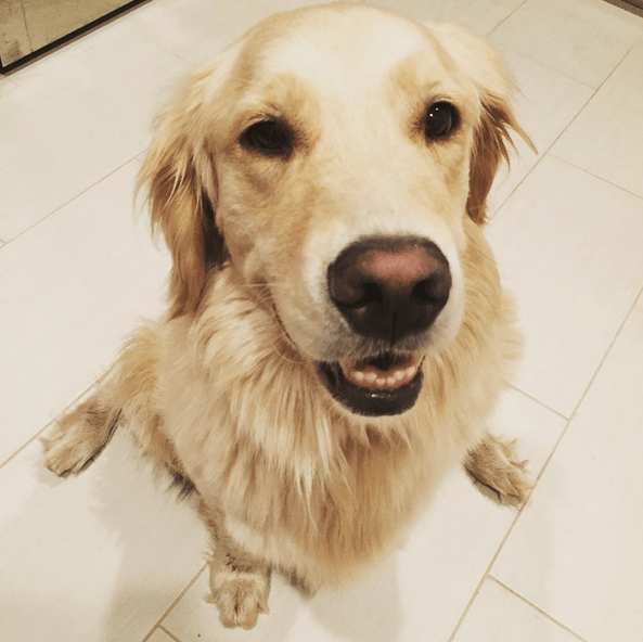 Screenshot 2015-09-05 09.46.30