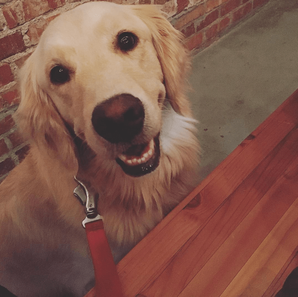 Screenshot 2015-10-17 09.28.17