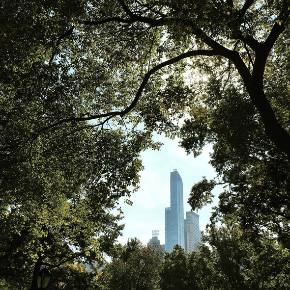 Screenshot 2015-11-01 08.22.13