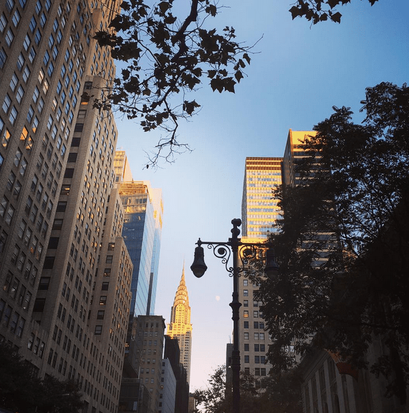 Screenshot 2015-11-01 08.22.58