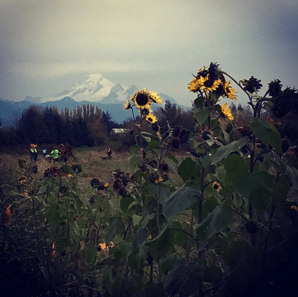 Screenshot 2015-11-01 08.23.34