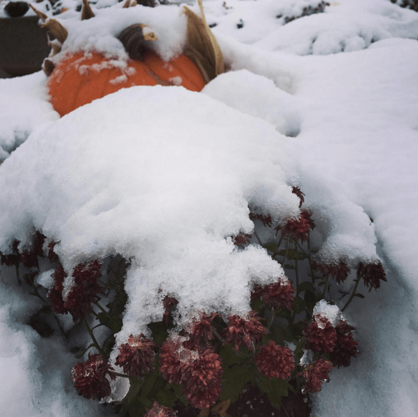 Screenshot 2015-11-14 09.48.58