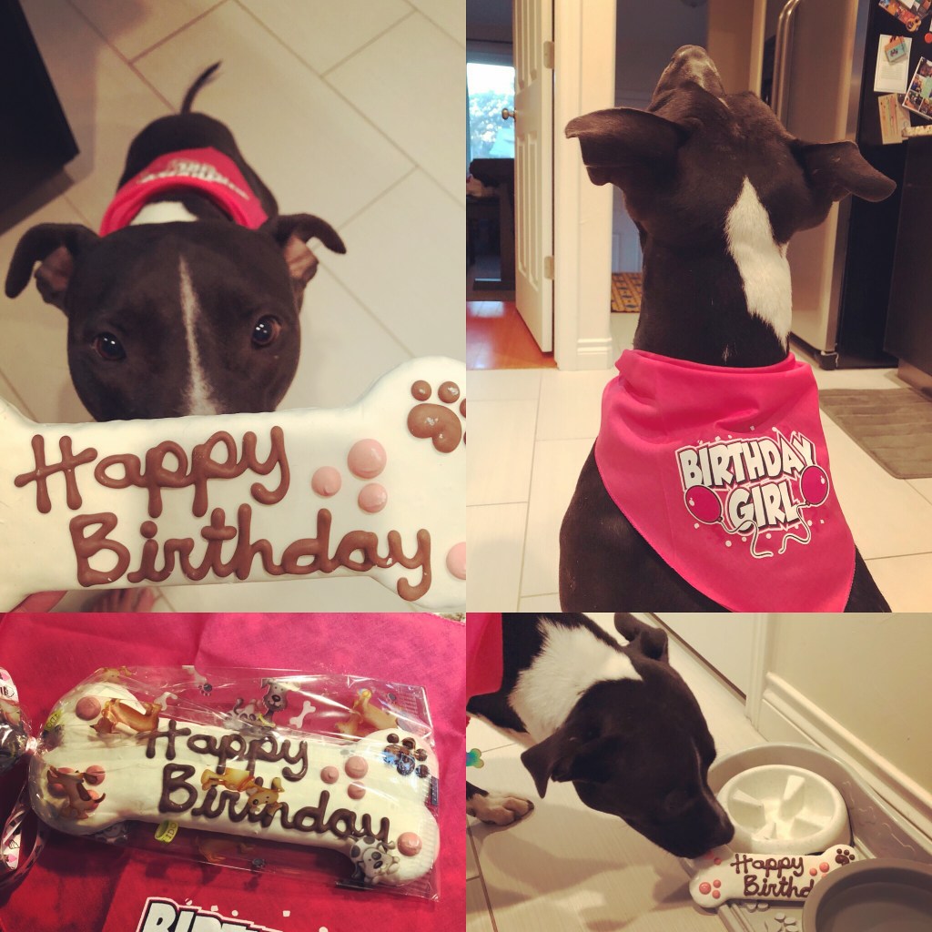 loving-kindness + week&nbsp;reflection