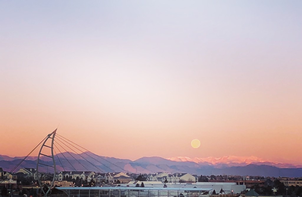 simple joy project + week reflection