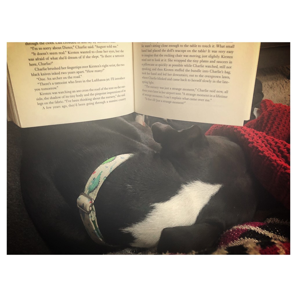 2018: a fairly well-read&nbsp;year