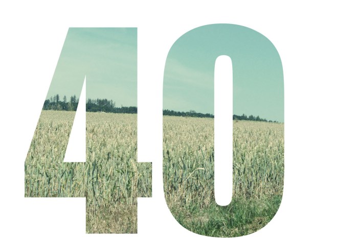 40-by-40 update + one year to&nbsp;go!
