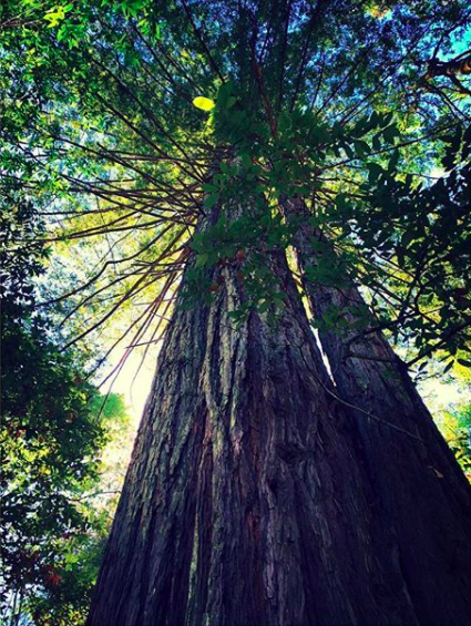 I.am.exhausted. + week(s)&nbsp;reflection