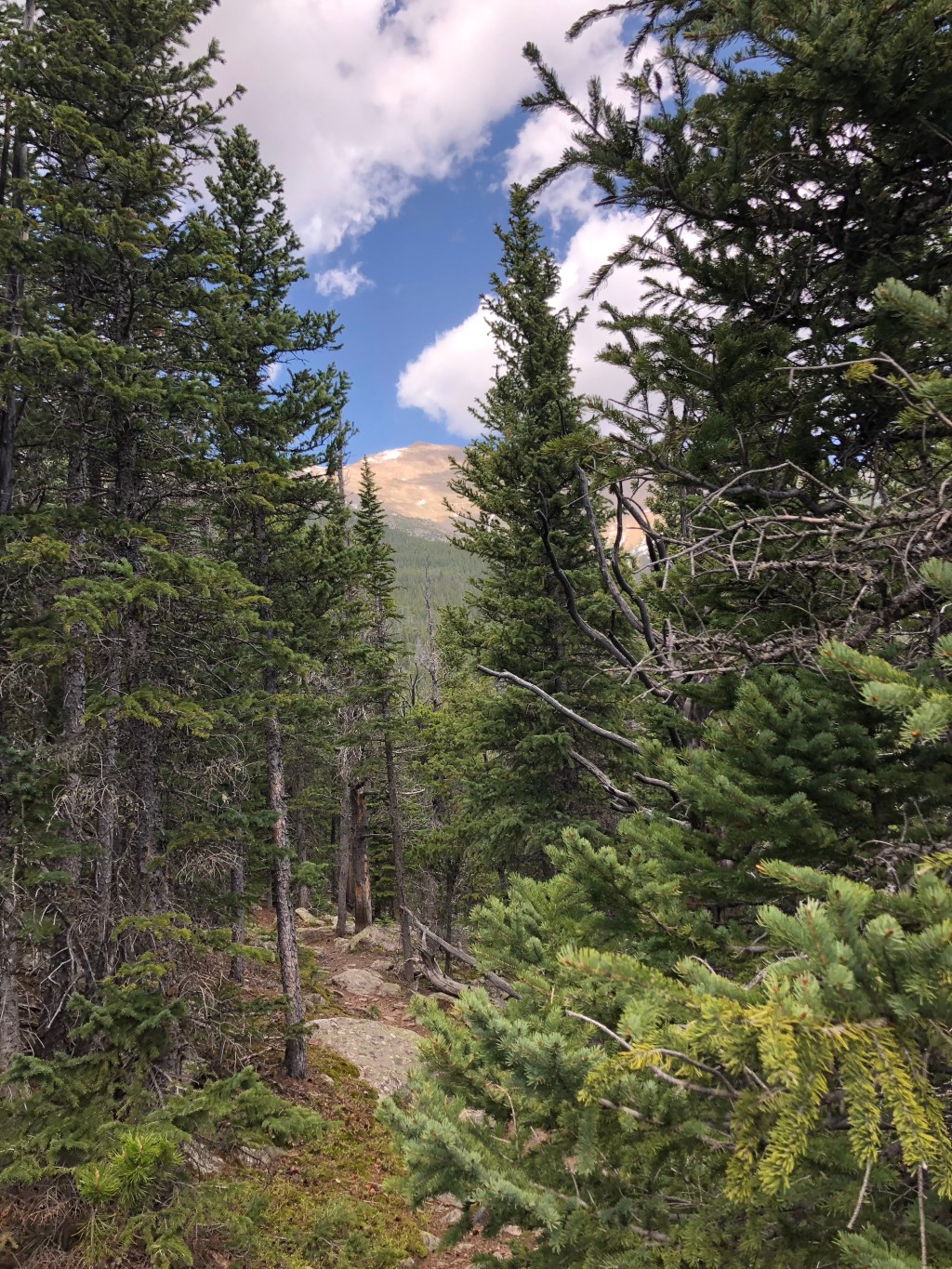 month in review + June intentions