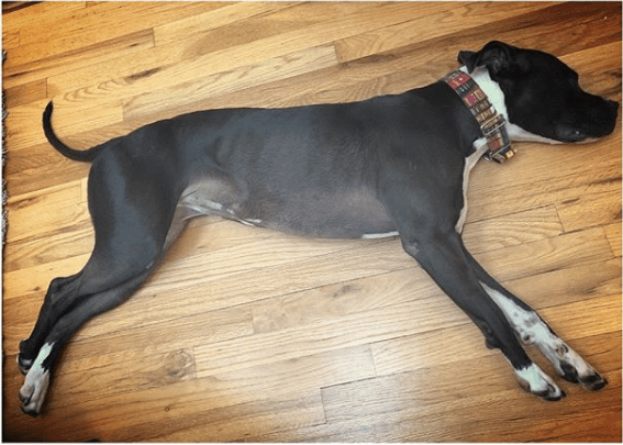 is it winter yet? + week&nbsp;reflection