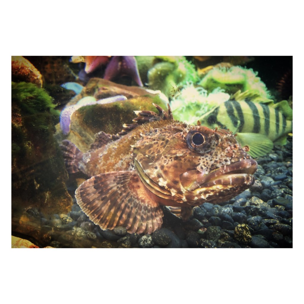 all the celebrations + week(s) in&nbsp;review