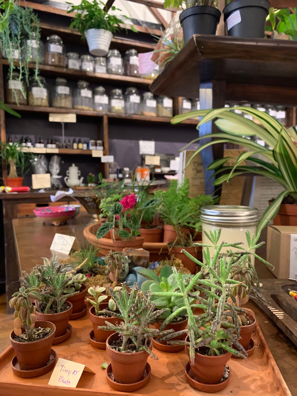 neighborhood walkabout: Denver’s North + South&nbsp;Broadway