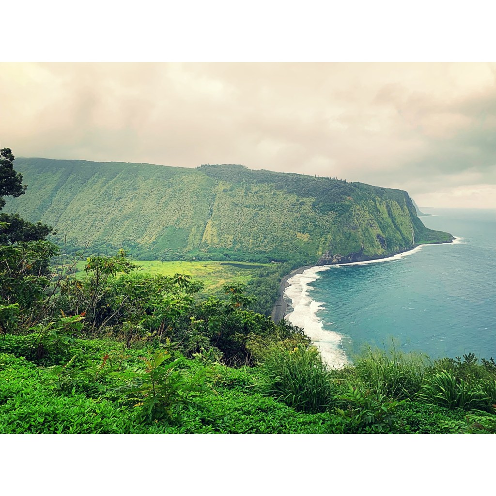 less ringing, more sleeping NYE + week(s)&nbsp;reflection