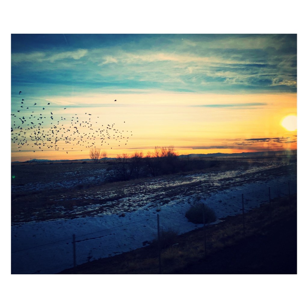 gratitude for 2019 + week(s)&nbsp;reflection