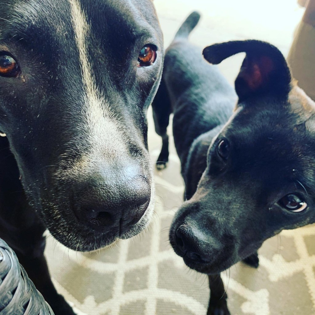 welcome, summer + month&nbsp;reflection