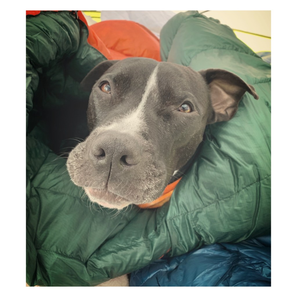 okay, fall — I’m ready for you + August&nbsp;reflection