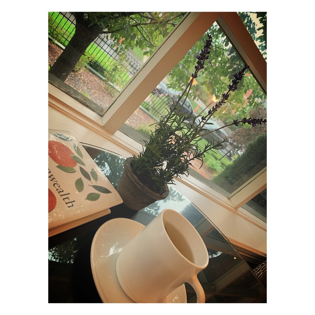 this week in three good&nbsp;things