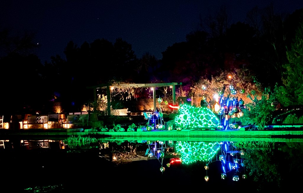 October reflections + November&nbsp;dreams