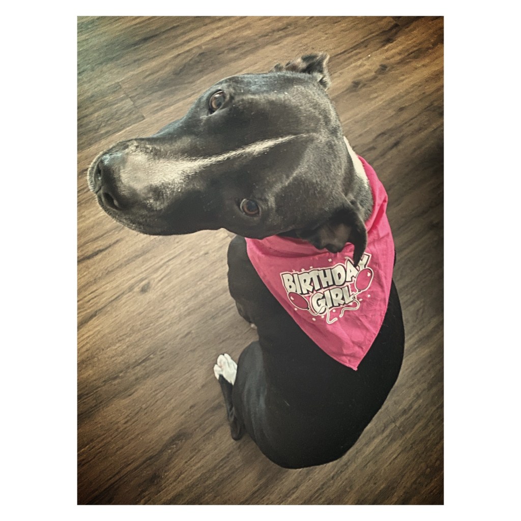 this week in three good&nbsp;things