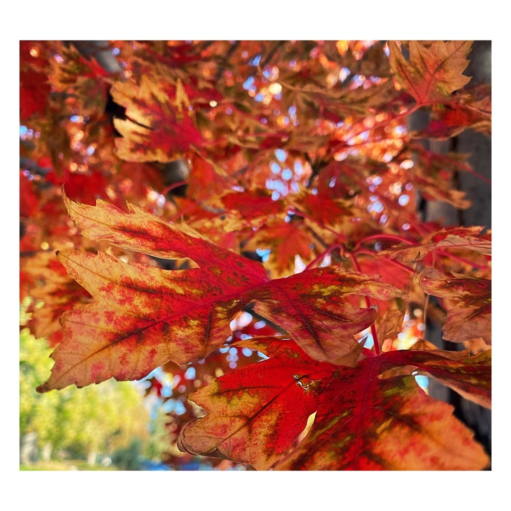 this week in three good&nbsp;things