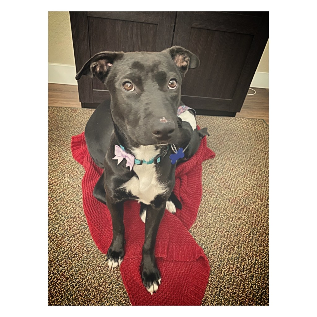 this week in three good&nbsp;things