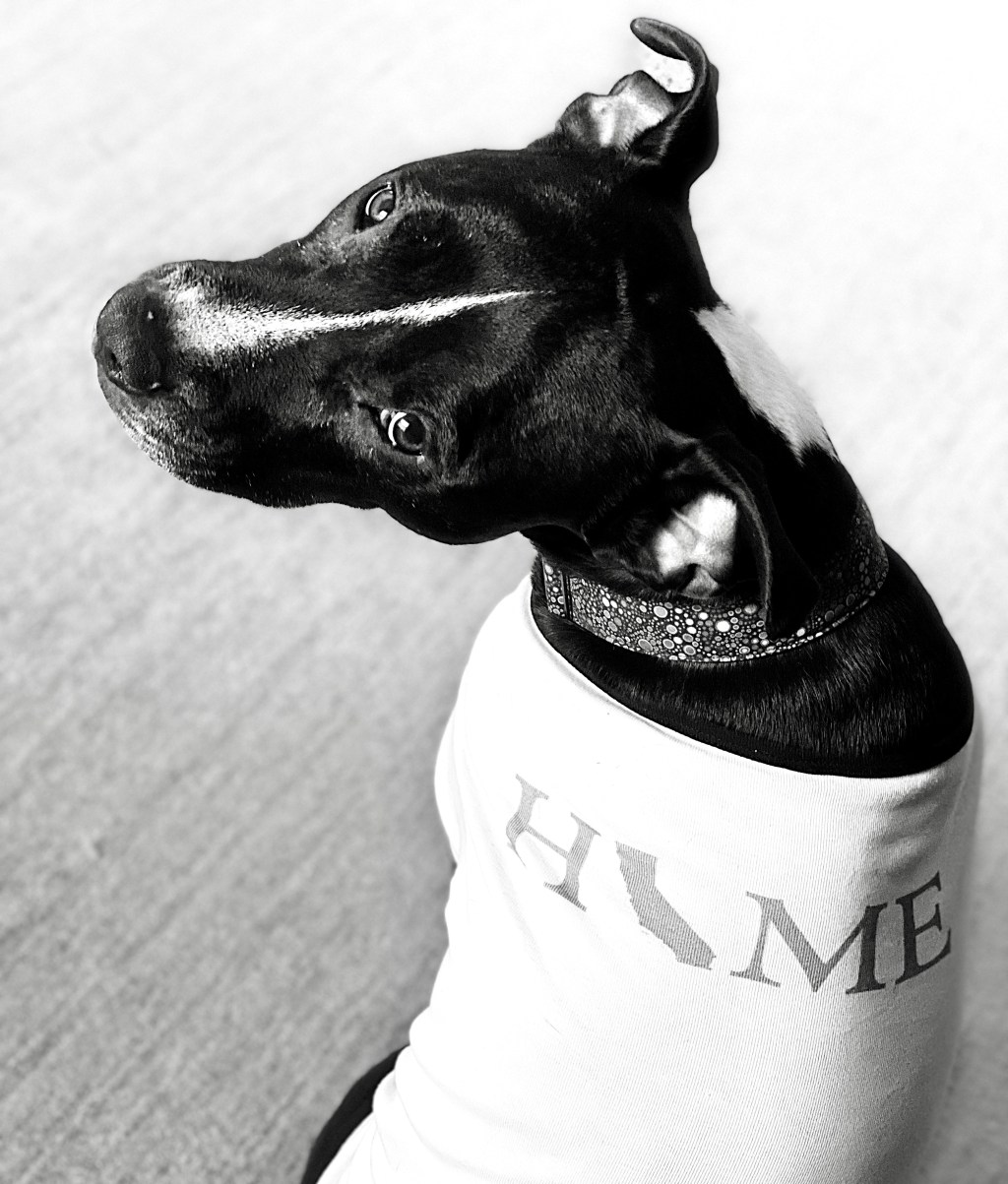 big change is a comin’ + November review and December&nbsp;dreams