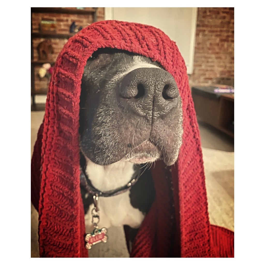 this week in three good things