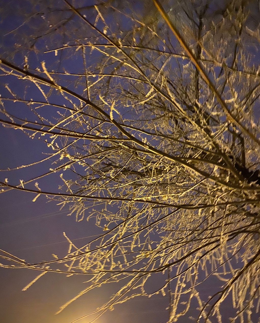 December reflections + January dreams