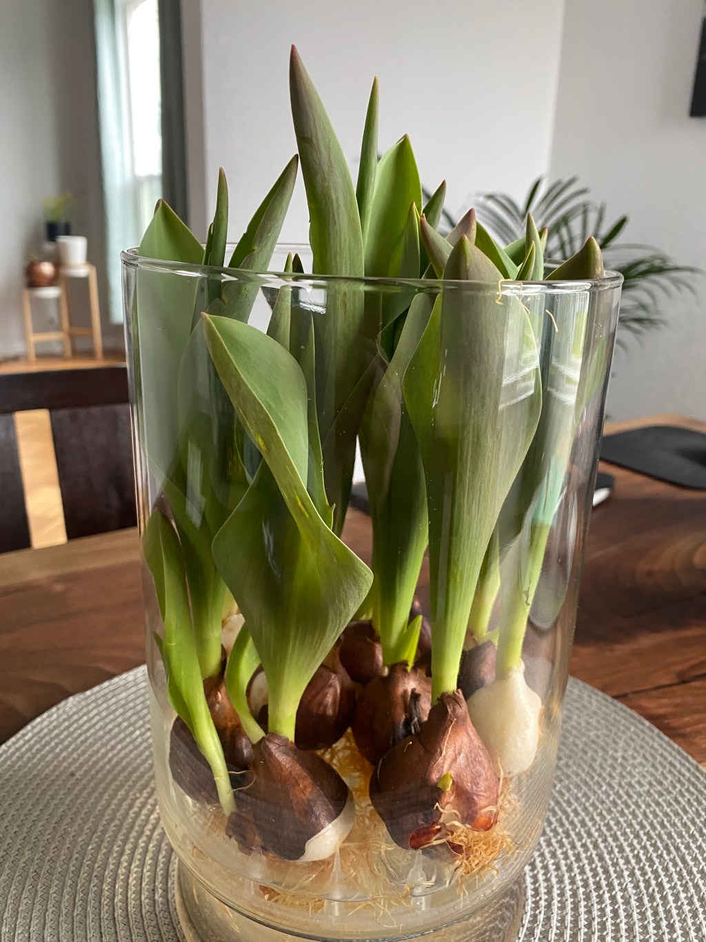 this week in three good&nbsp;things