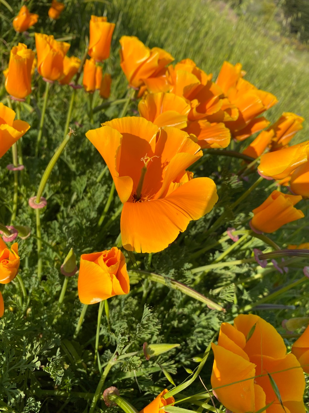 this week in three good&nbsp;things