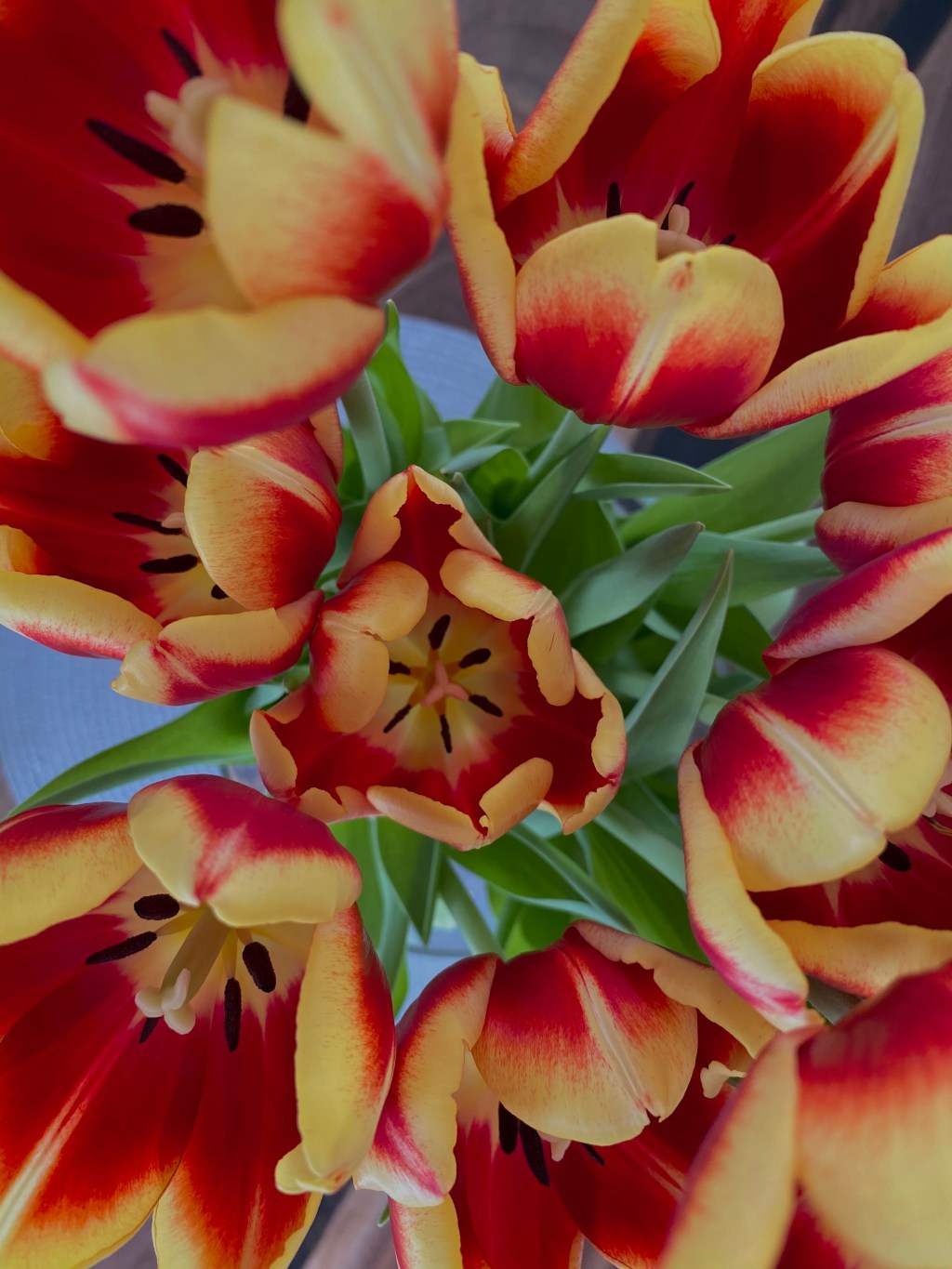 this week in three good&nbsp;things