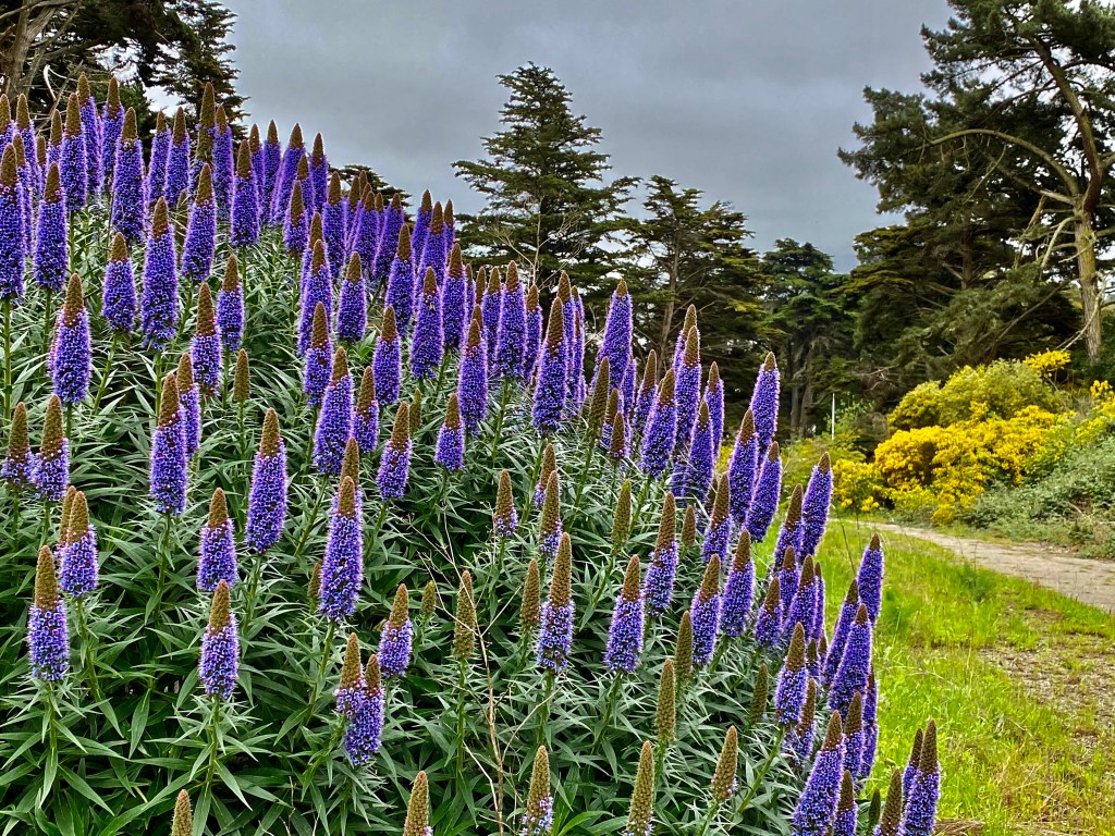 this week in three good things