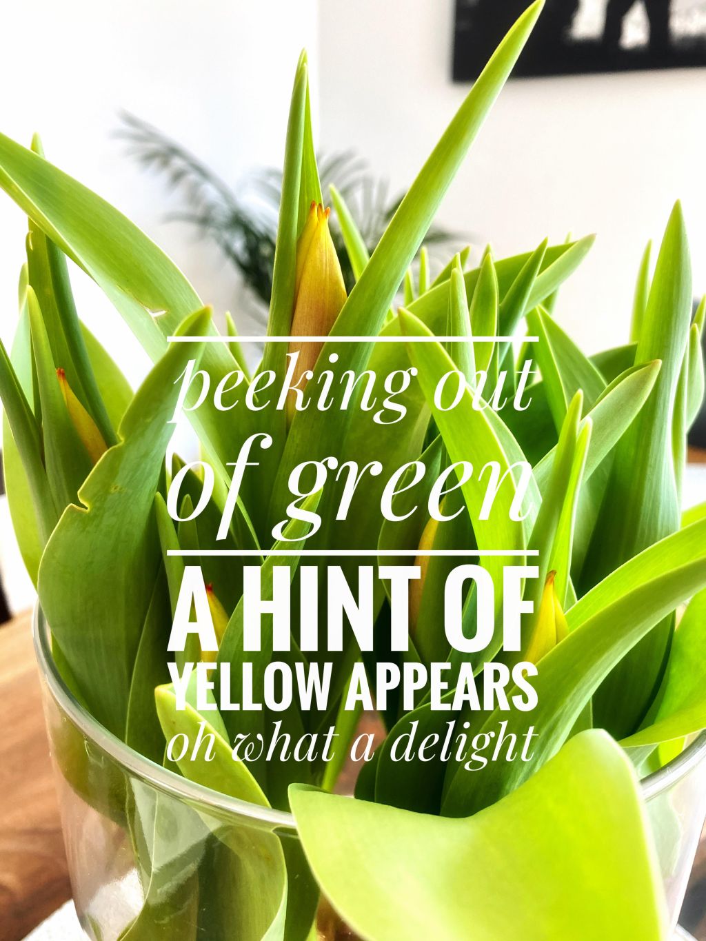 30 days of&nbsp;haiku