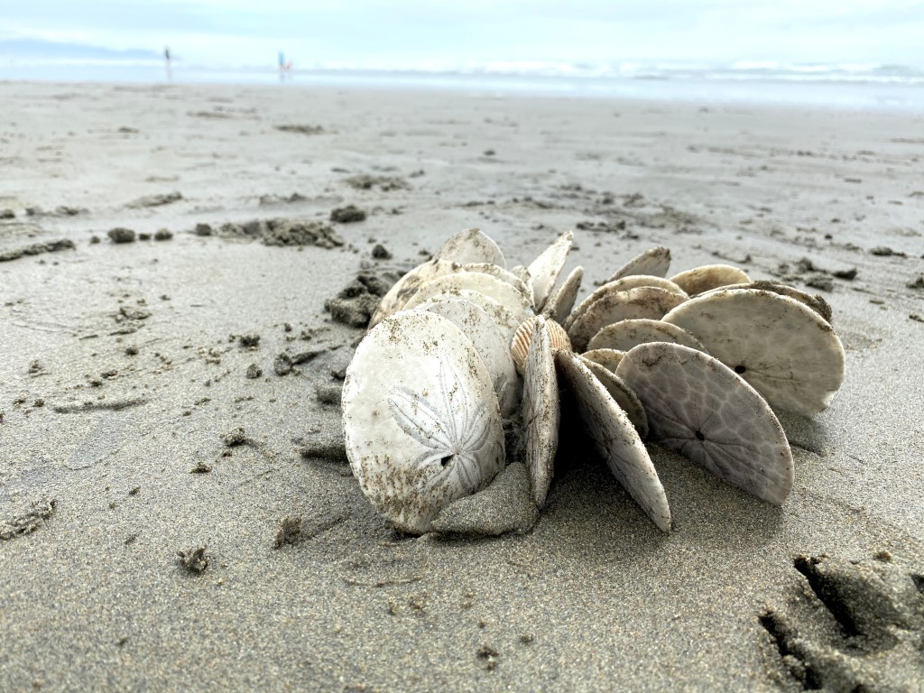 this week in three good&nbsp;things