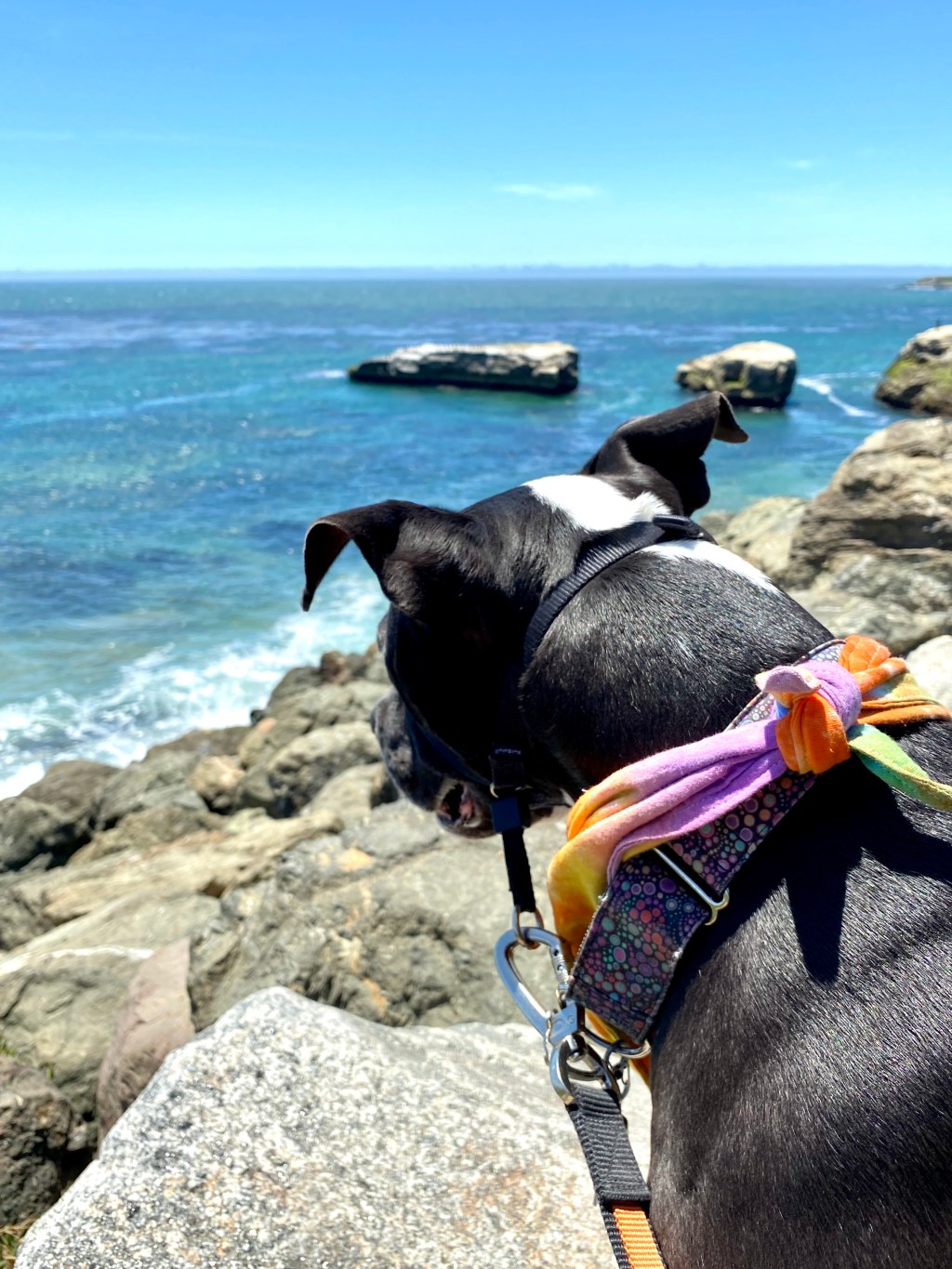 this week in three good&nbsp;things