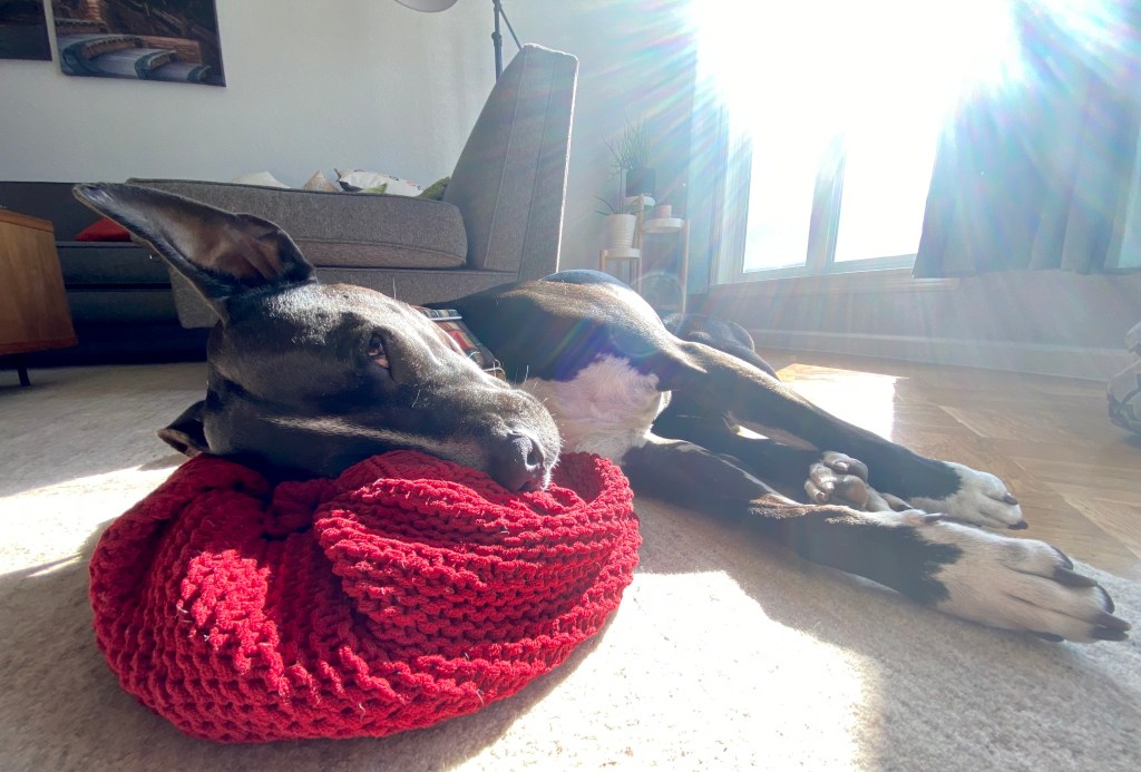 this week in three good&nbsp;things