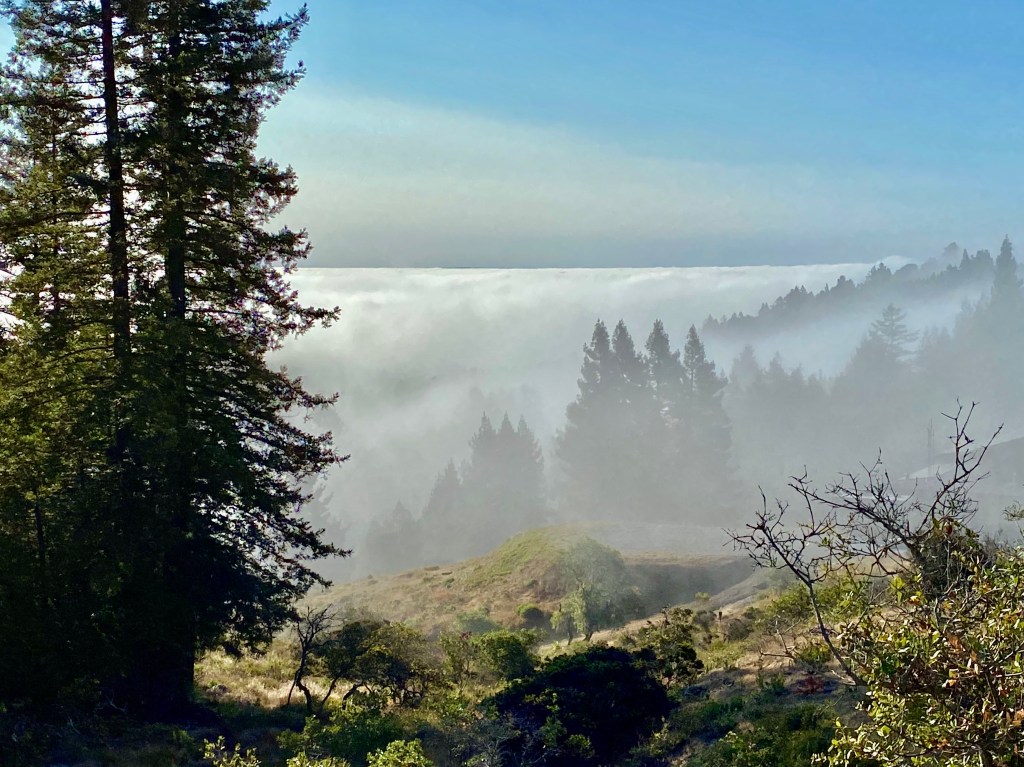 and there goes August + looking&nbsp;ahead