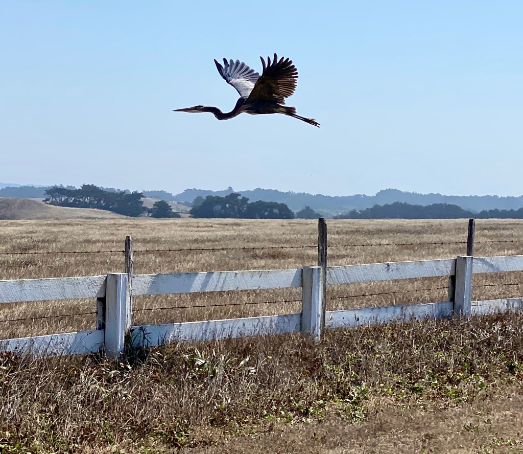 this week in three good&nbsp;things