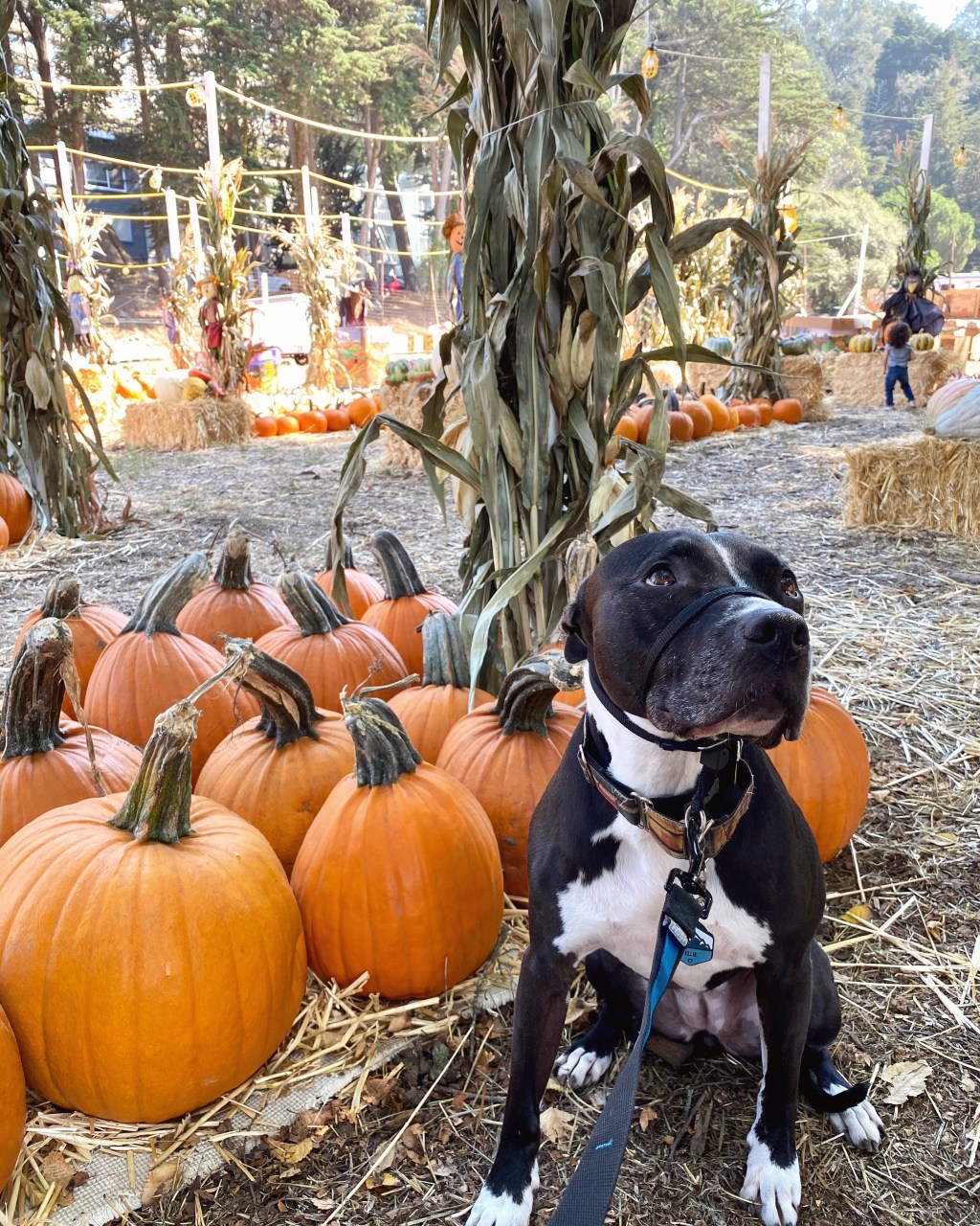 this week in three good&nbsp;things