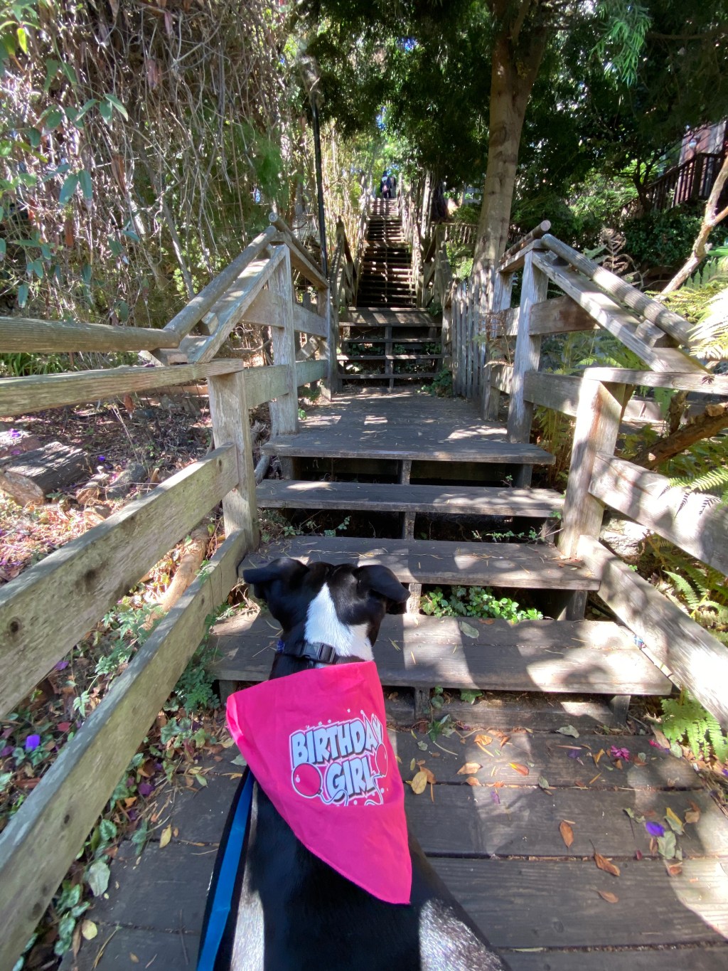 this week in three good&nbsp;things