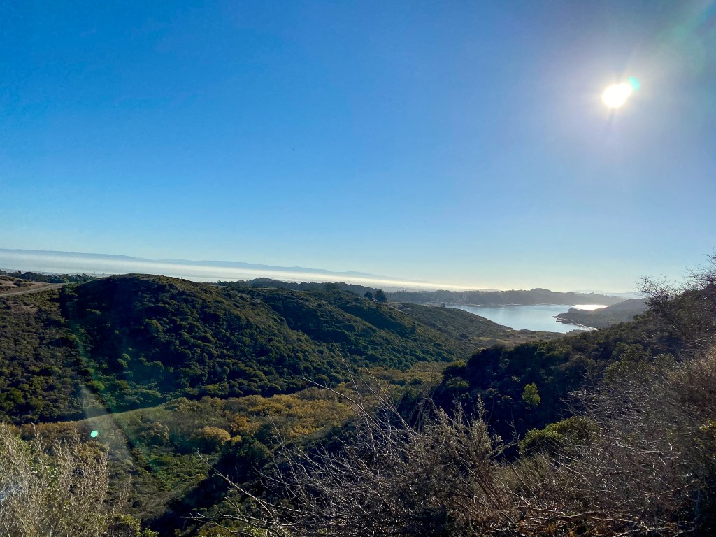 this week in three good&nbsp;things