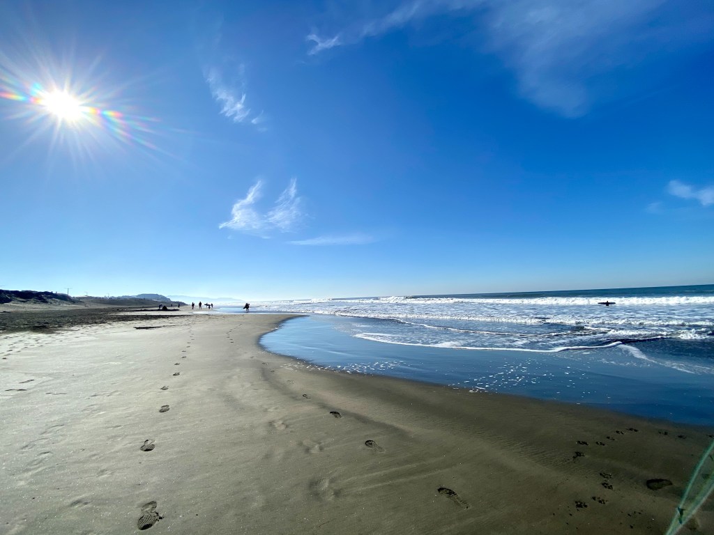 November in review + December&nbsp;dreams