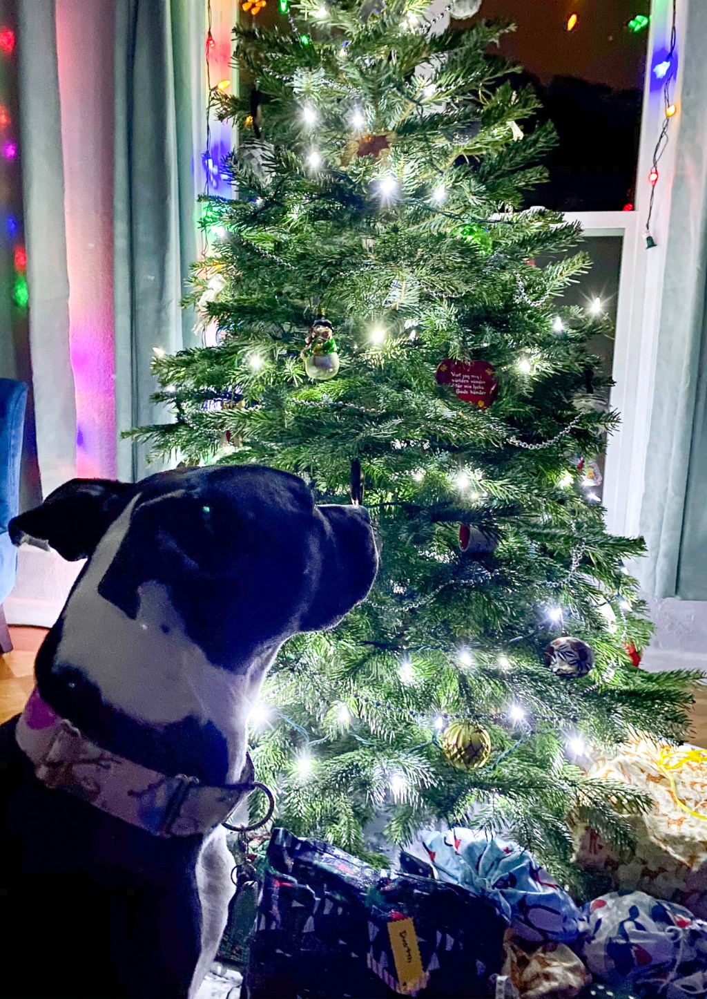 December review + looking ahead to January