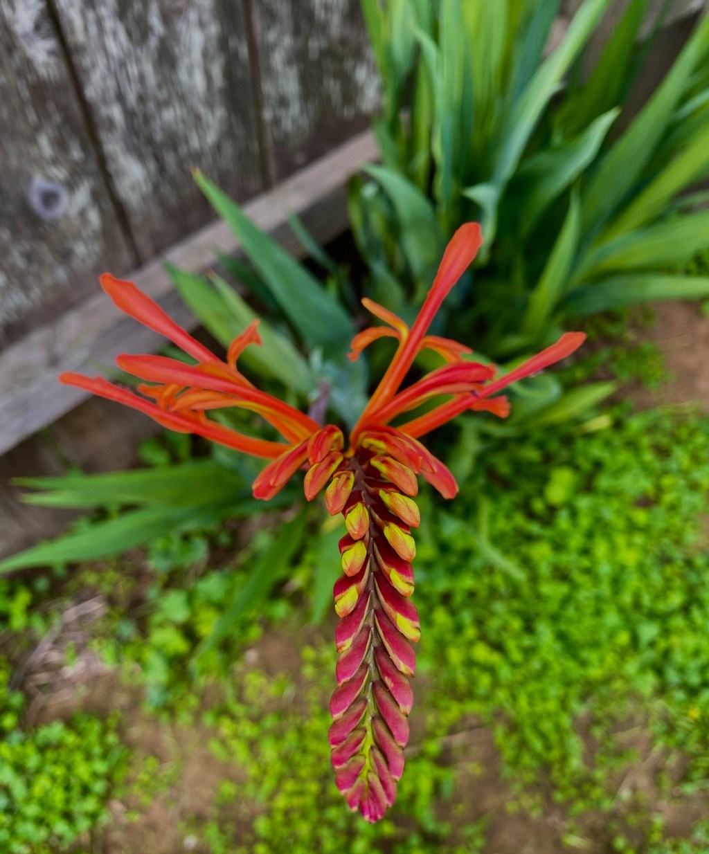 this week in three good&nbsp;things